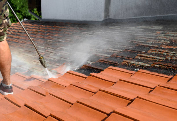 Best Deck Pressure Washing  in Macclenny, FL
