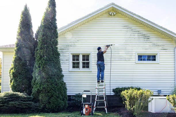 Best Pressure Washing Siding  in Macclenny, FL